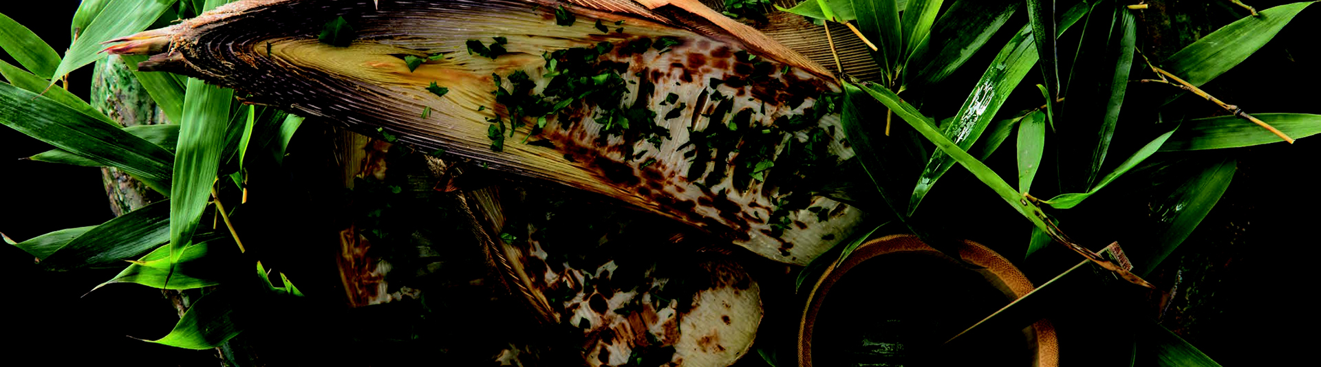 和食の写真
